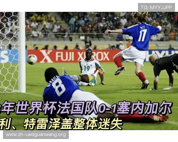 法国对阵塞内加尔比赛结果分析与精彩瞬间回顾